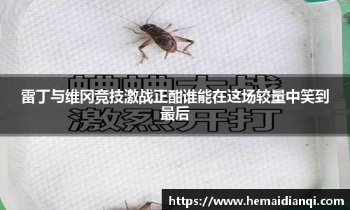泛亚电竞app